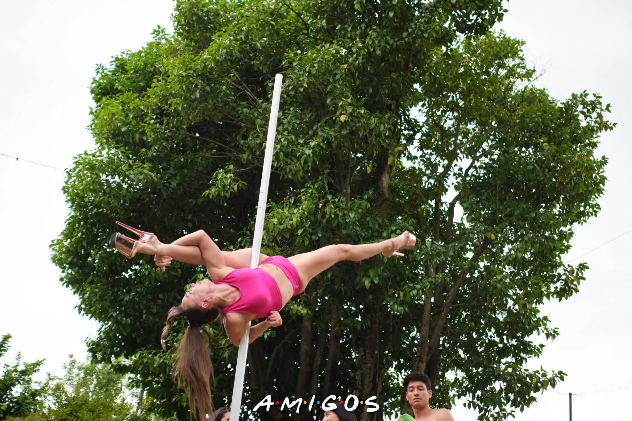 tempole-amigos-6